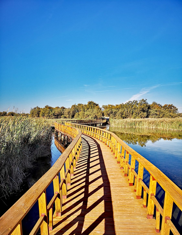 imagen de embarcadero de las tablas de Daimiel